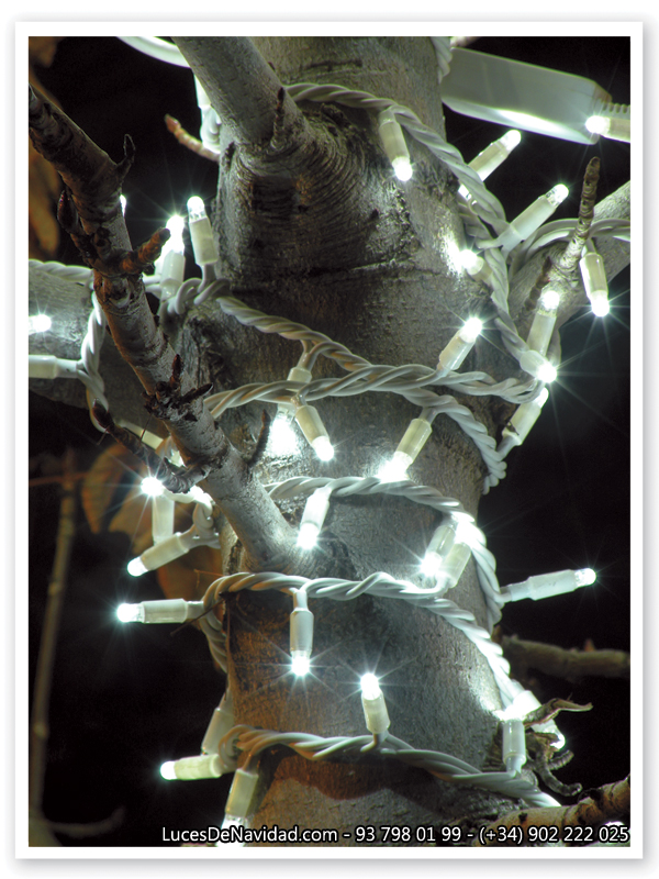 Detalle de guirnalda Led con cableado blanco de 1mm de sección enrollada en una rama de un arbol sin hojas